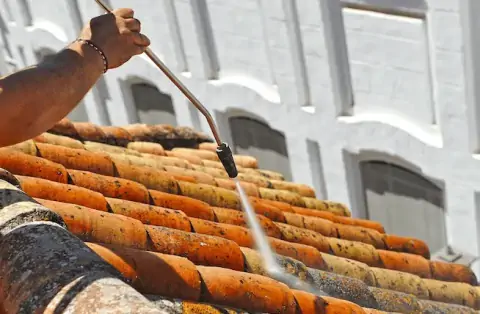 Nettoyage de toitures - Périgny